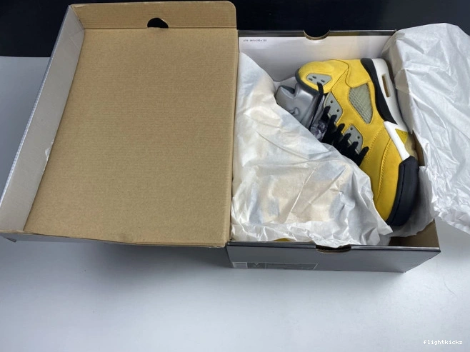 T23 Jordan Air 5 Tokyo Retro 454783-701 0730